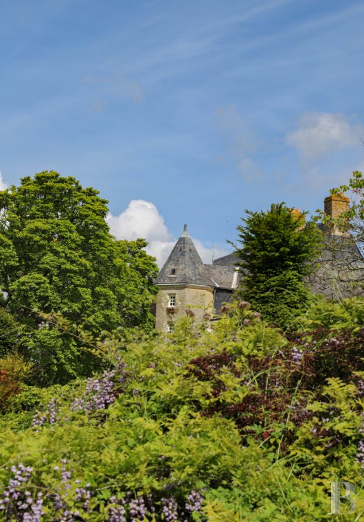 A 15th century manor and its remarkable garden west of Le Mans in Sarthe - photo  n°61